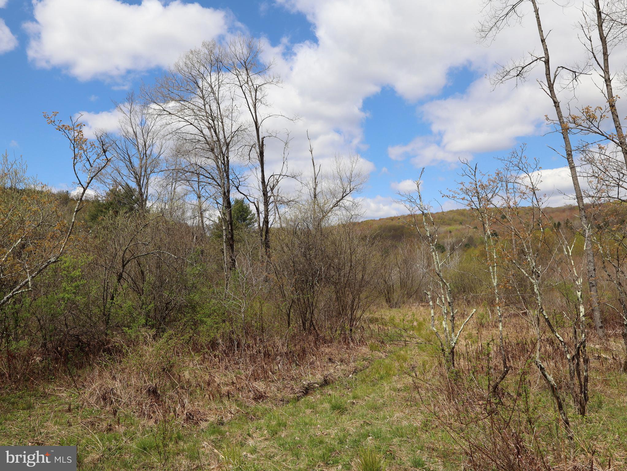 0 Holbrook Road Montrose, PA 18801 - Photo 88 of 147