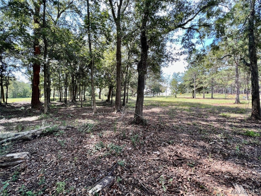 49 Slocomb Al Slocomb, AL 36375 - Photo 12 of 19 Gallery Image 12