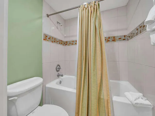 a bathroom with a toilet and a bathtub