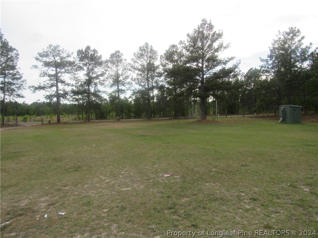 1322 Derby Road Jackson Springs, NC 27281 - Photo 5 of 6 Gallery Image 5