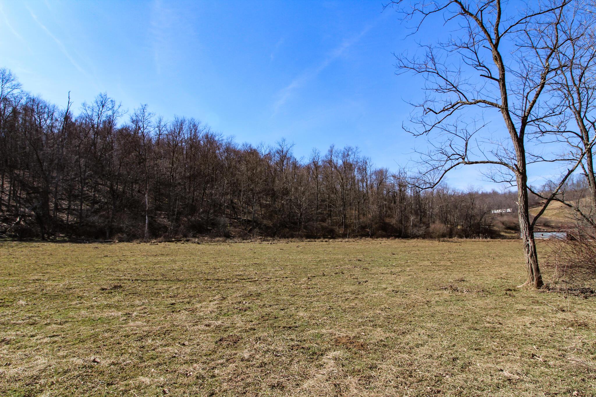 0 Waymor Road Quaker City, OH 43773 - Photo 5 of 24