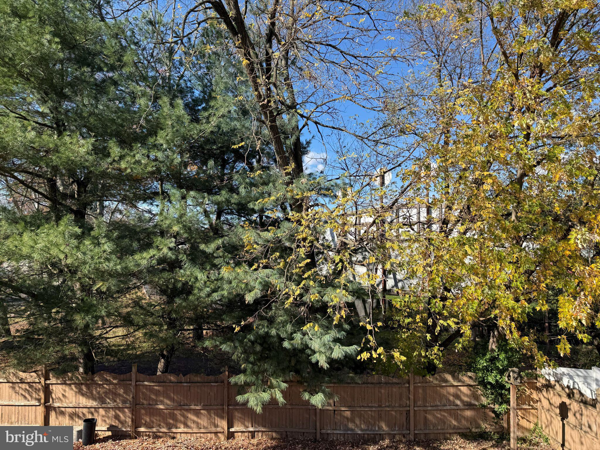 916 Edgemoor Road Cherry Hill, NJ 08034 - Photo 28 of 33 a view of a tree