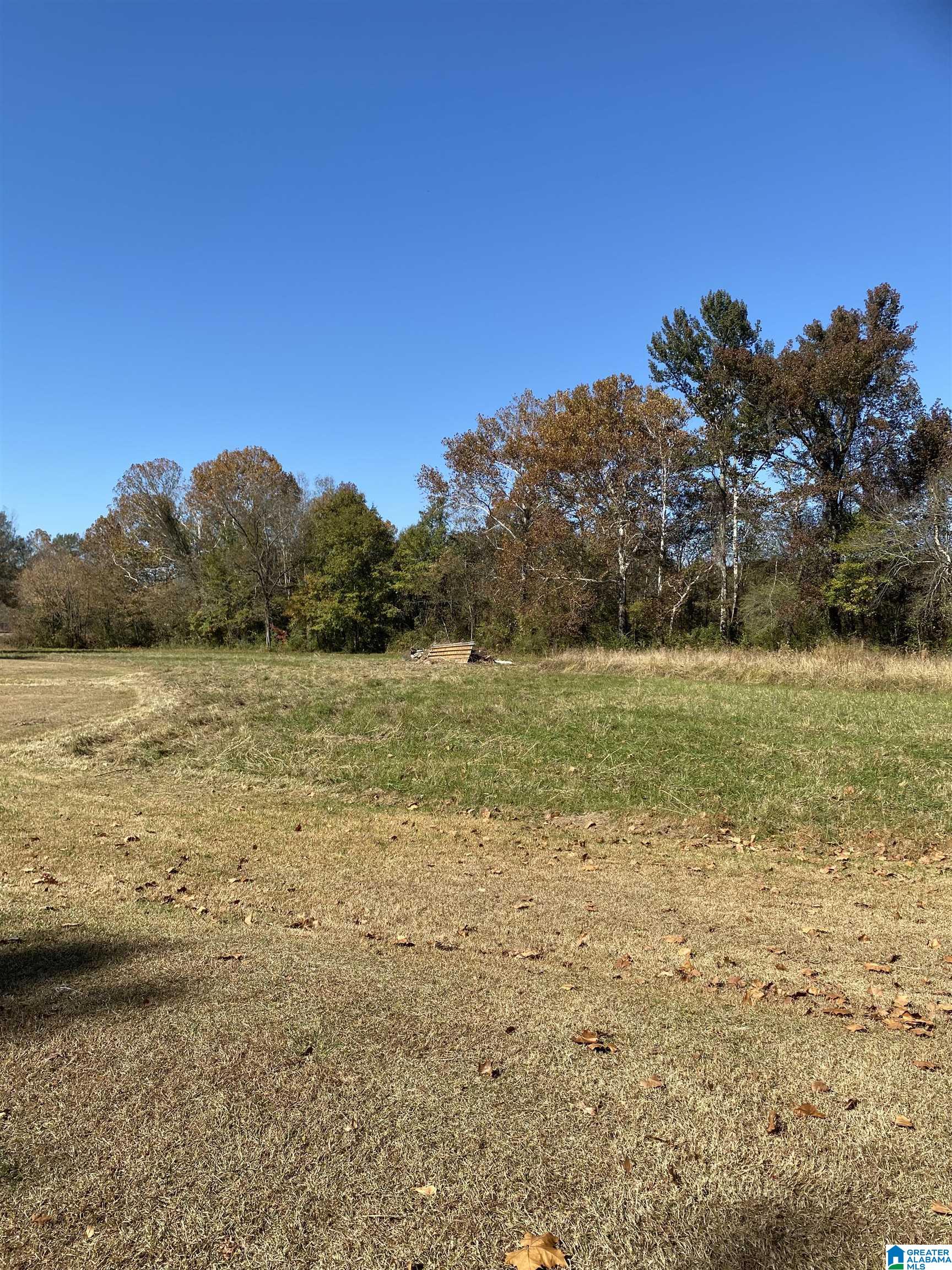 3216 Mudd Street Lincoln, AL 35096 - Photo 45 of 49