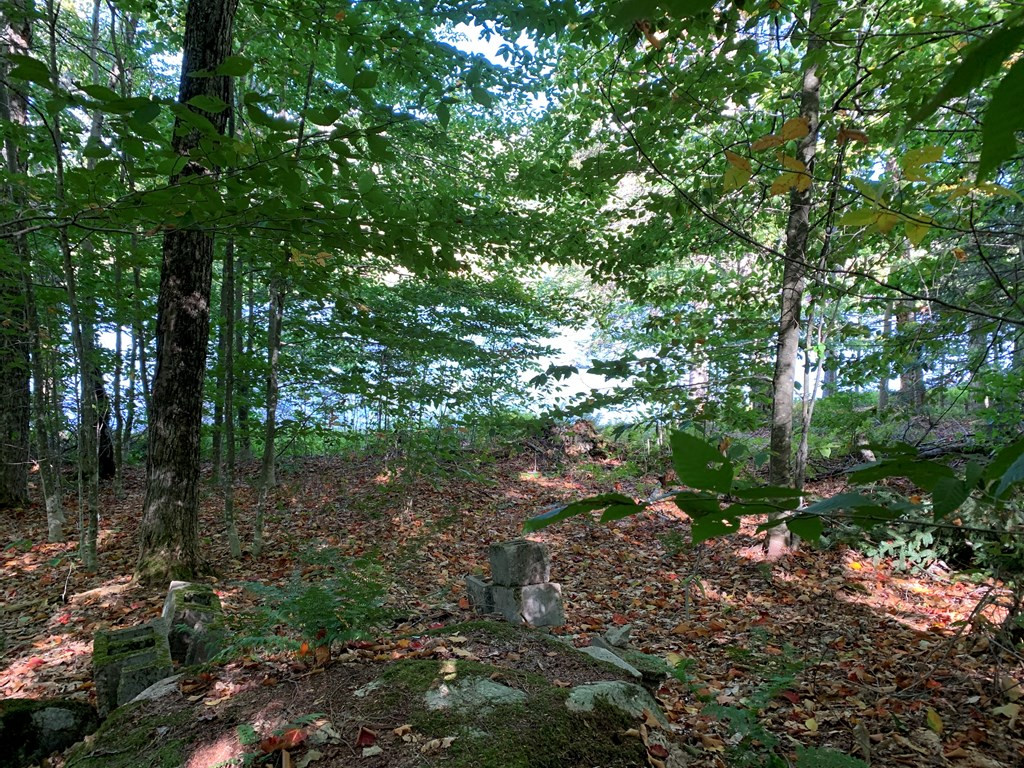 1244 Goodnow Flow Road Newcomb, NY 12852 - Photo 30 of 37 Gallery Image 30