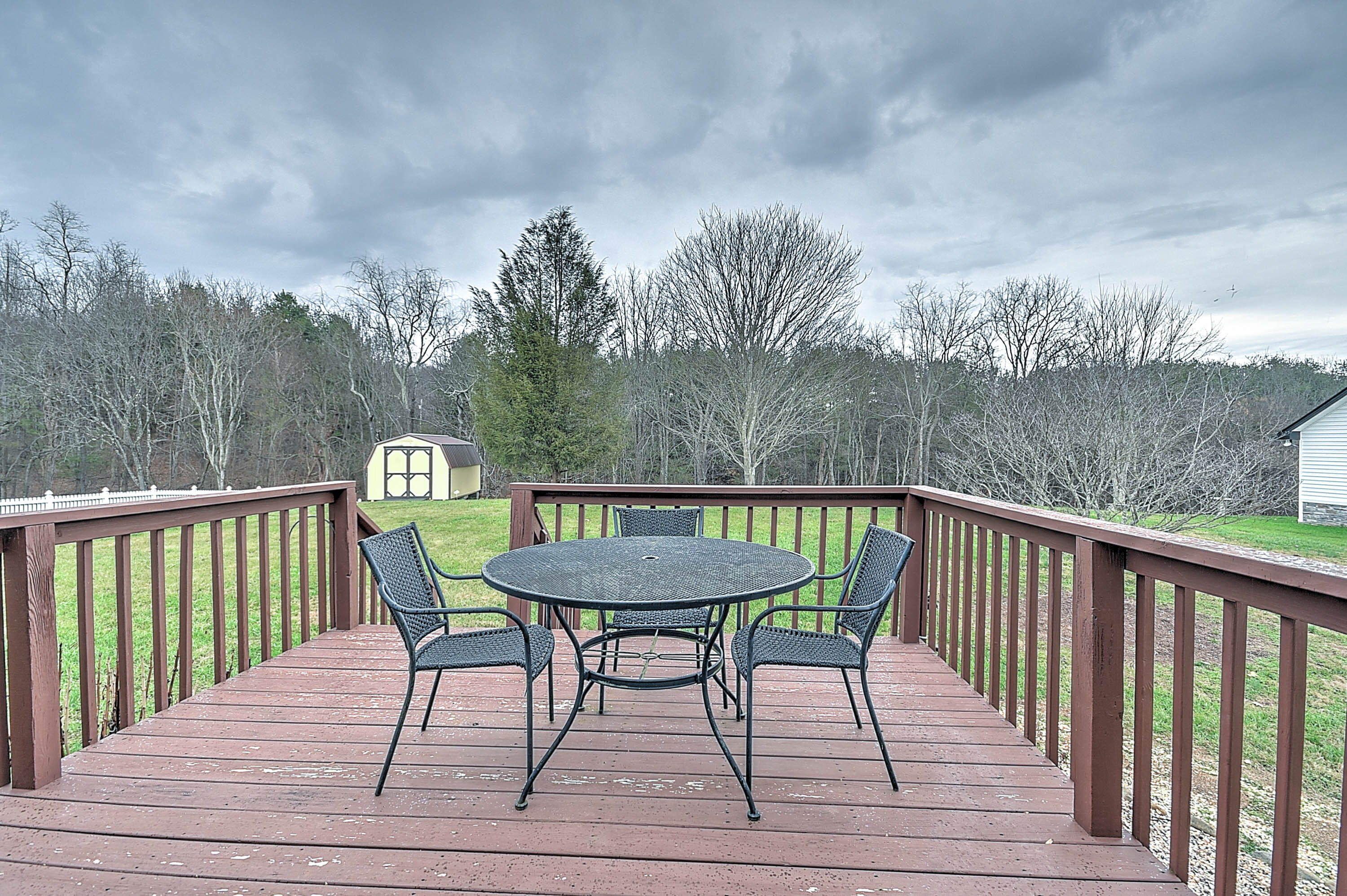 164 County Farm Road Jonesborough, TN 37659 - Photo 26 of 41 COuntry Farm-36