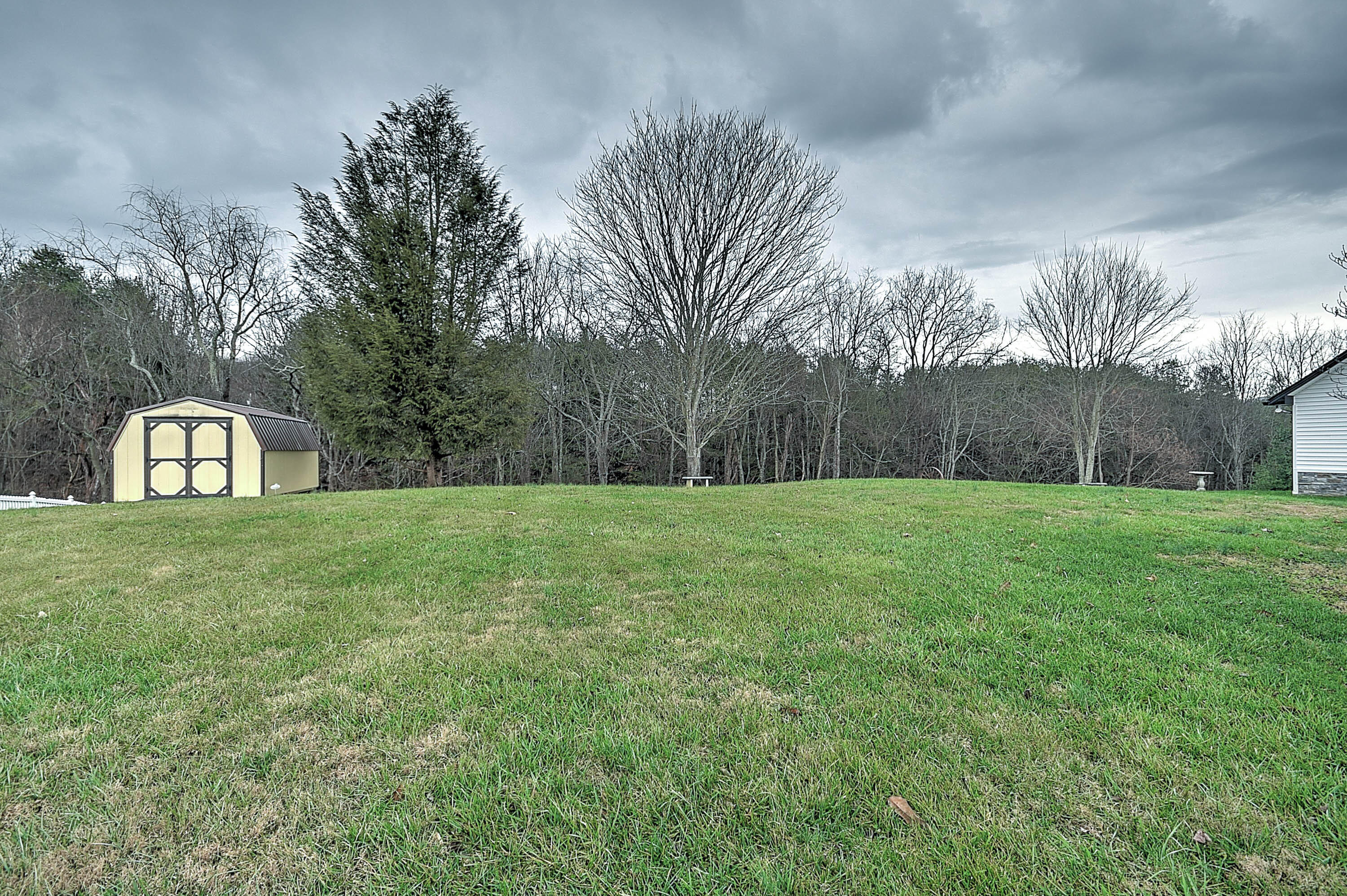 164 County Farm Road Jonesborough, TN 37659 - Photo 35 of 41 COuntry Farm-37