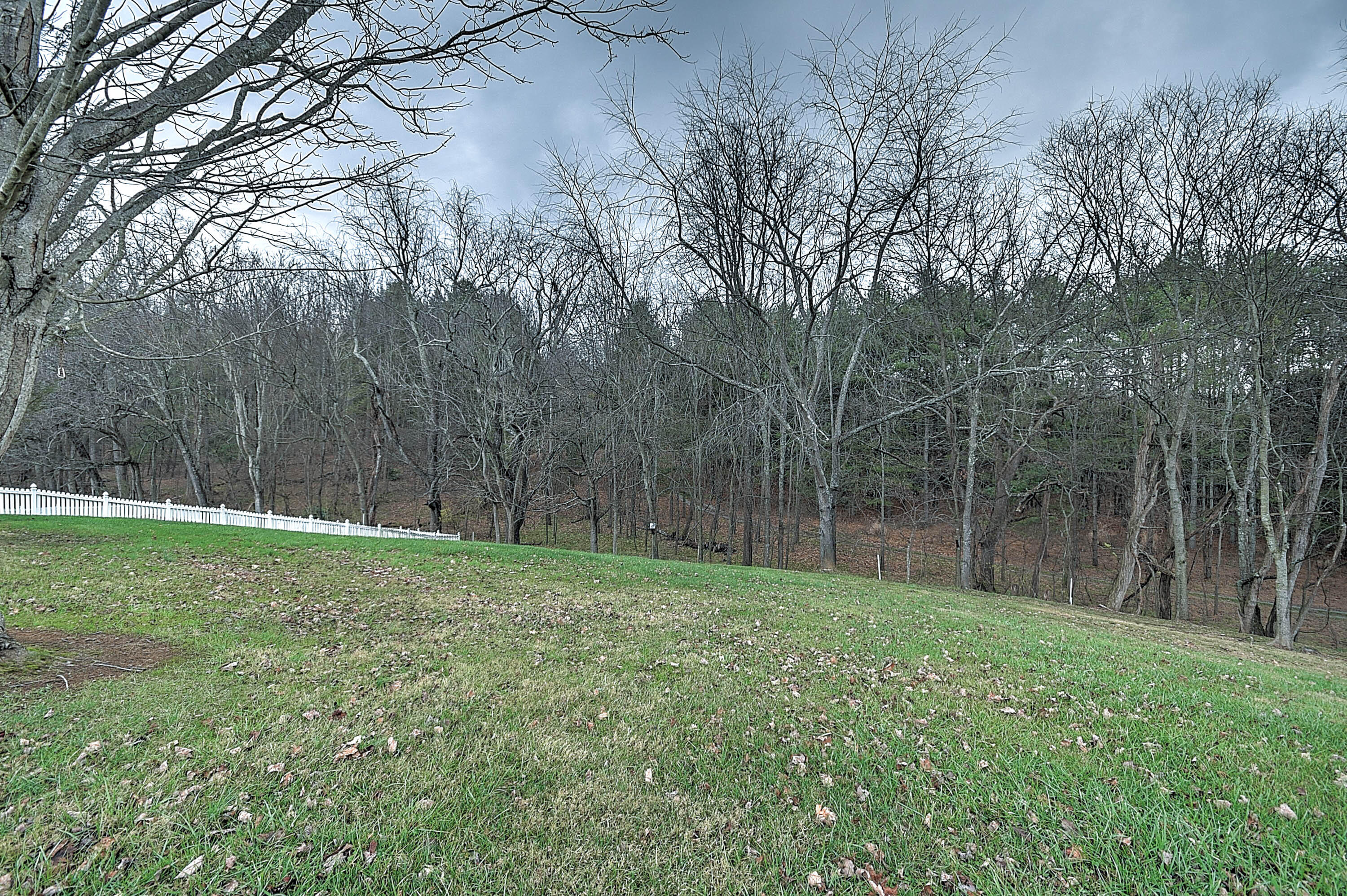 164 County Farm Road Jonesborough, TN 37659 - Photo 39 of 41 COuntry Farm-41