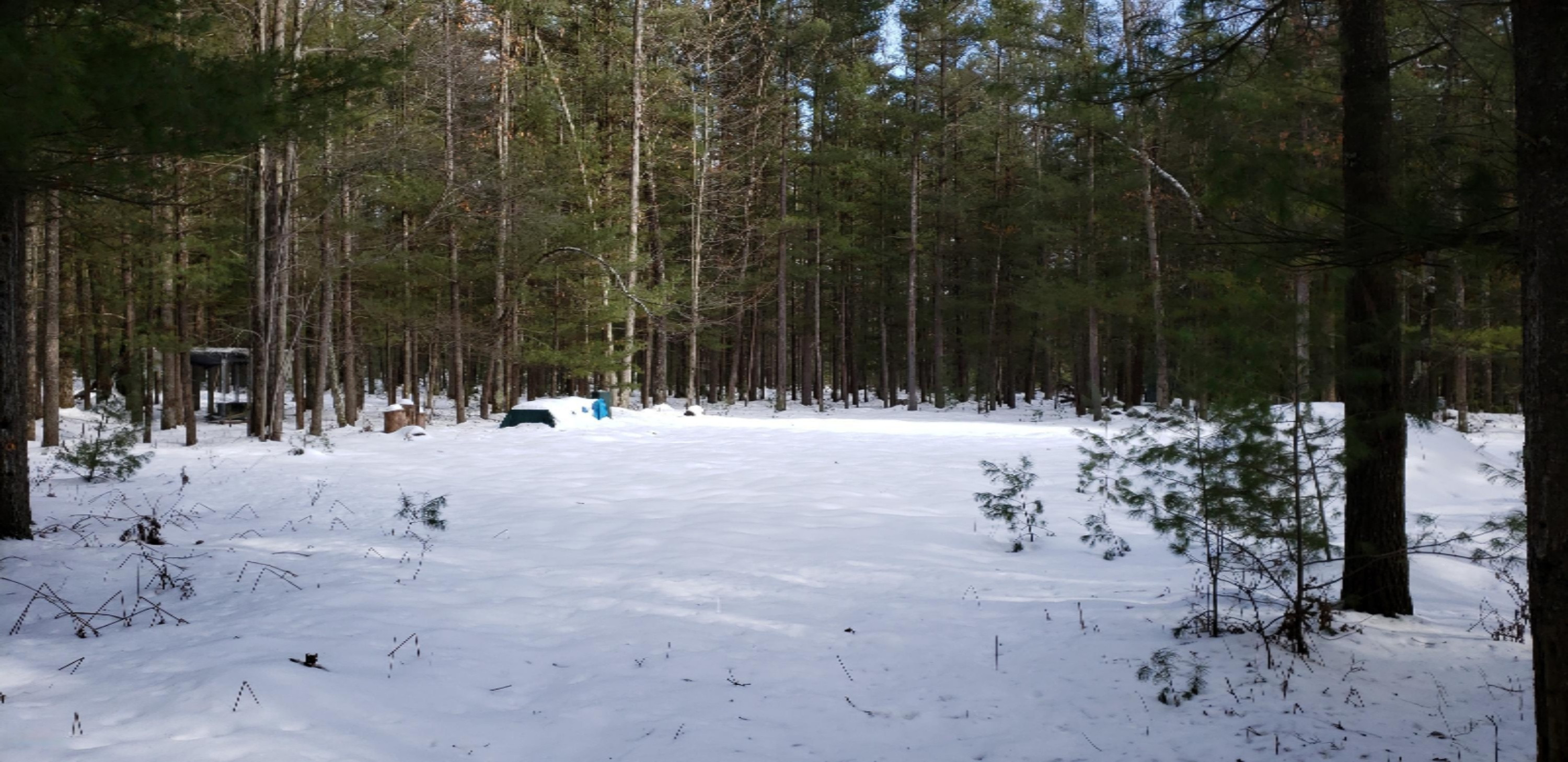 North Kettle Hole Road Manistee, MI 49660 - Photo 12 of 16 2020-02-08 13.37.58