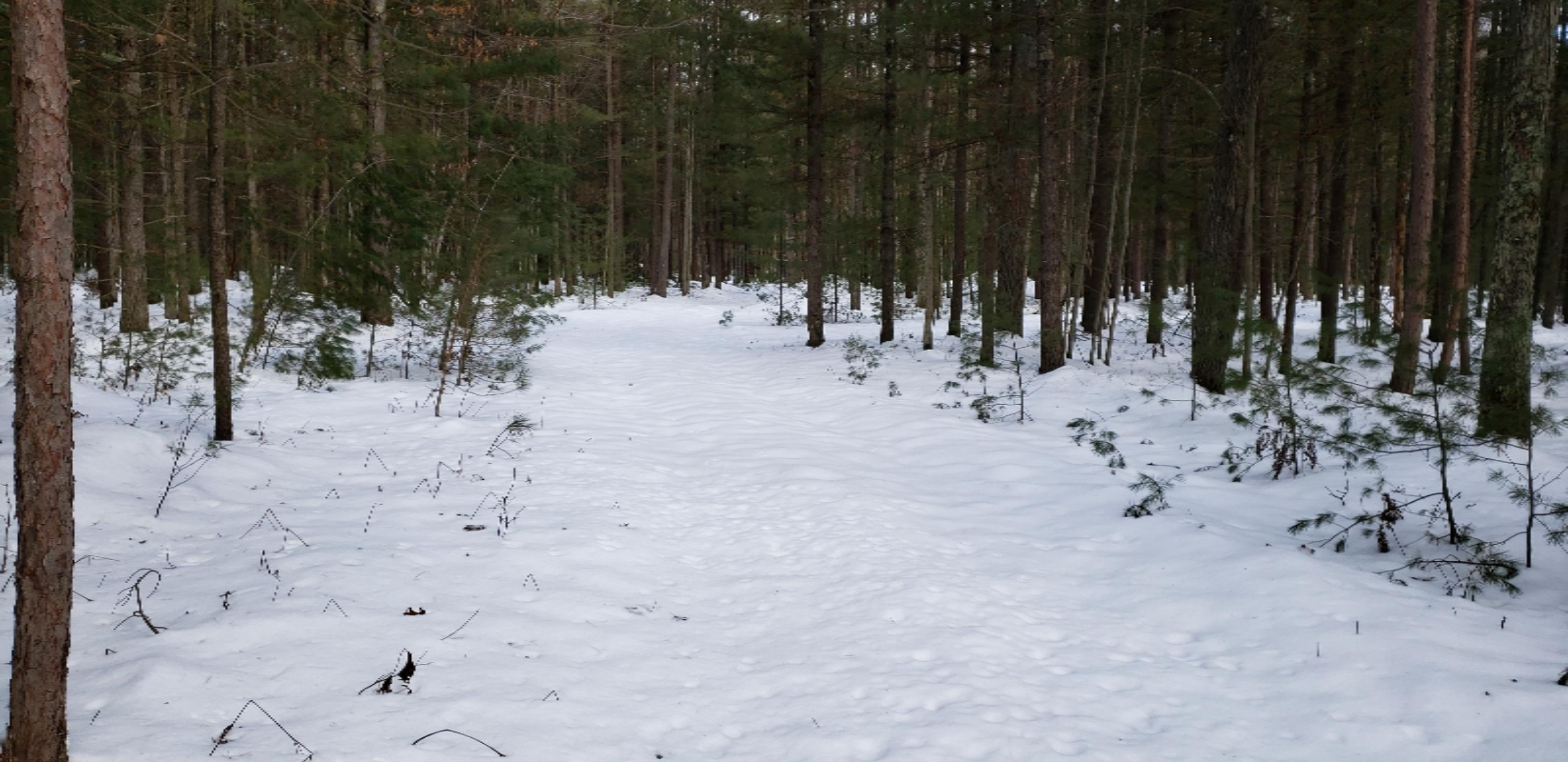 North Kettle Hole Road Manistee, MI 49660 - Photo 10 of 16 2020-02-08 13.36.30