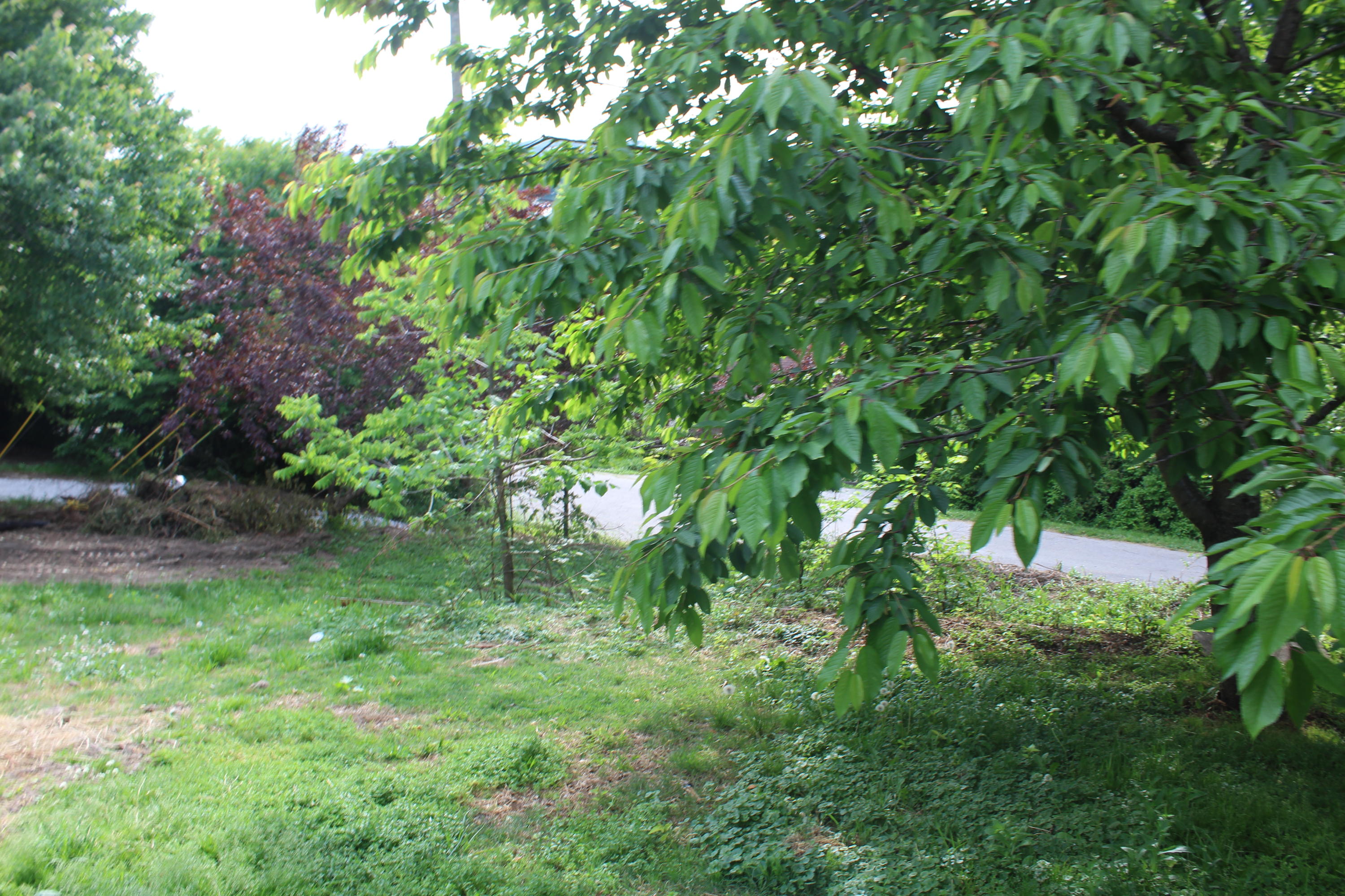 213 East Haiti Road Berea, KY 40403 - Photo 42 of 43 213 Davis 046