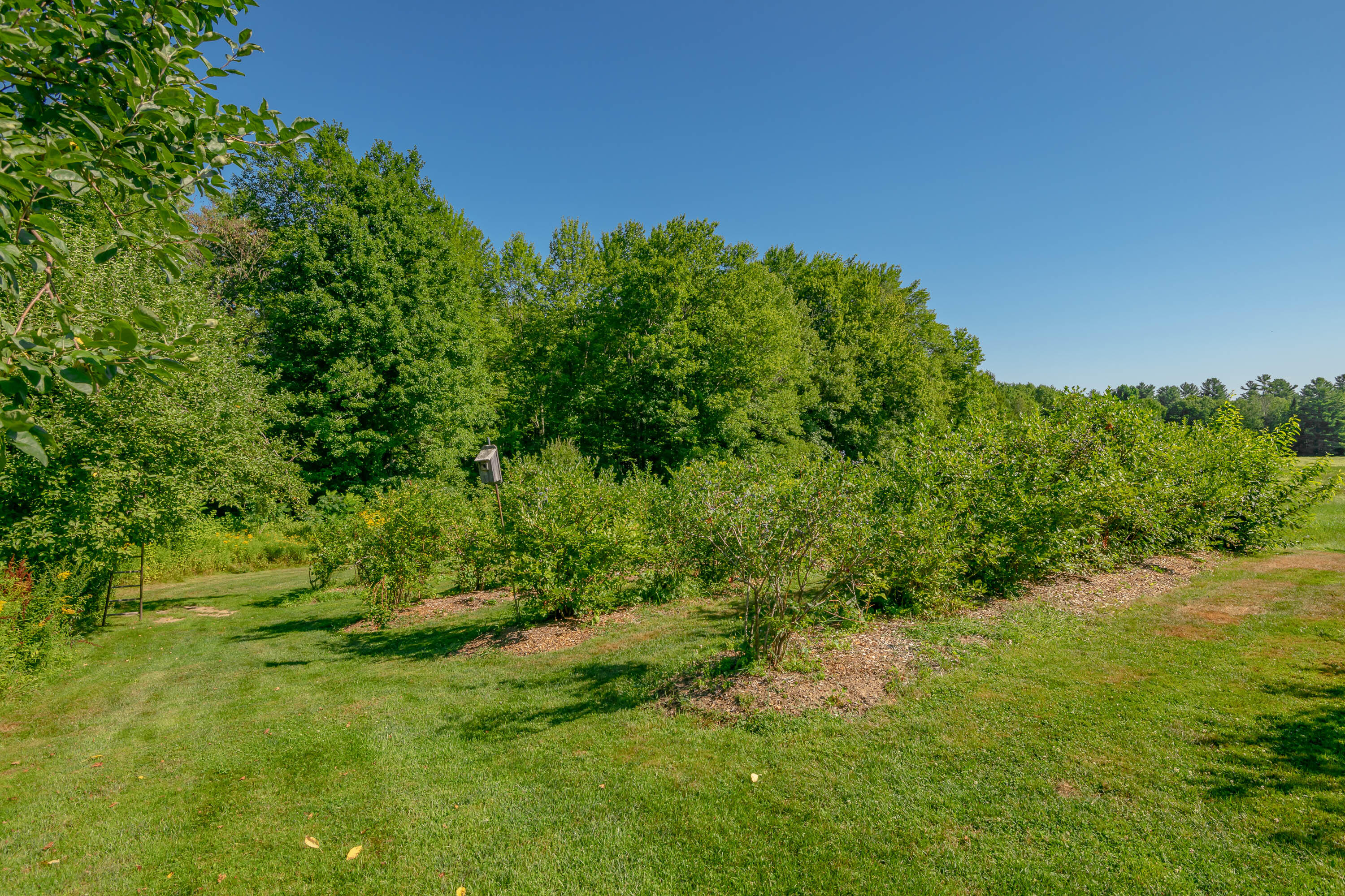 697 Fort Hill Road Gorham, ME 04038 - Photo 37 of 41