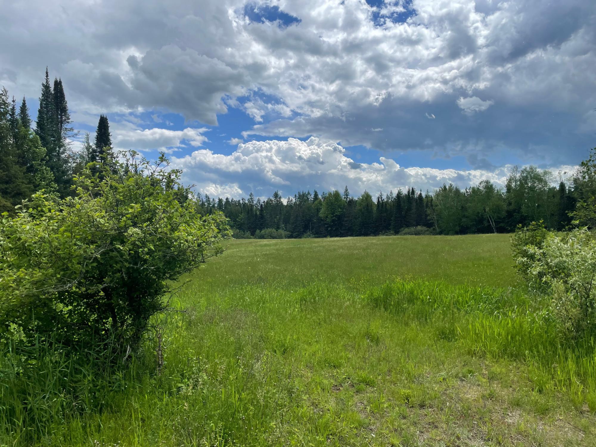 On Bear Lake Road, Unit 40 ACRES Butternut, WI 54514 - Photo 6 of 14 Gallery Image 6