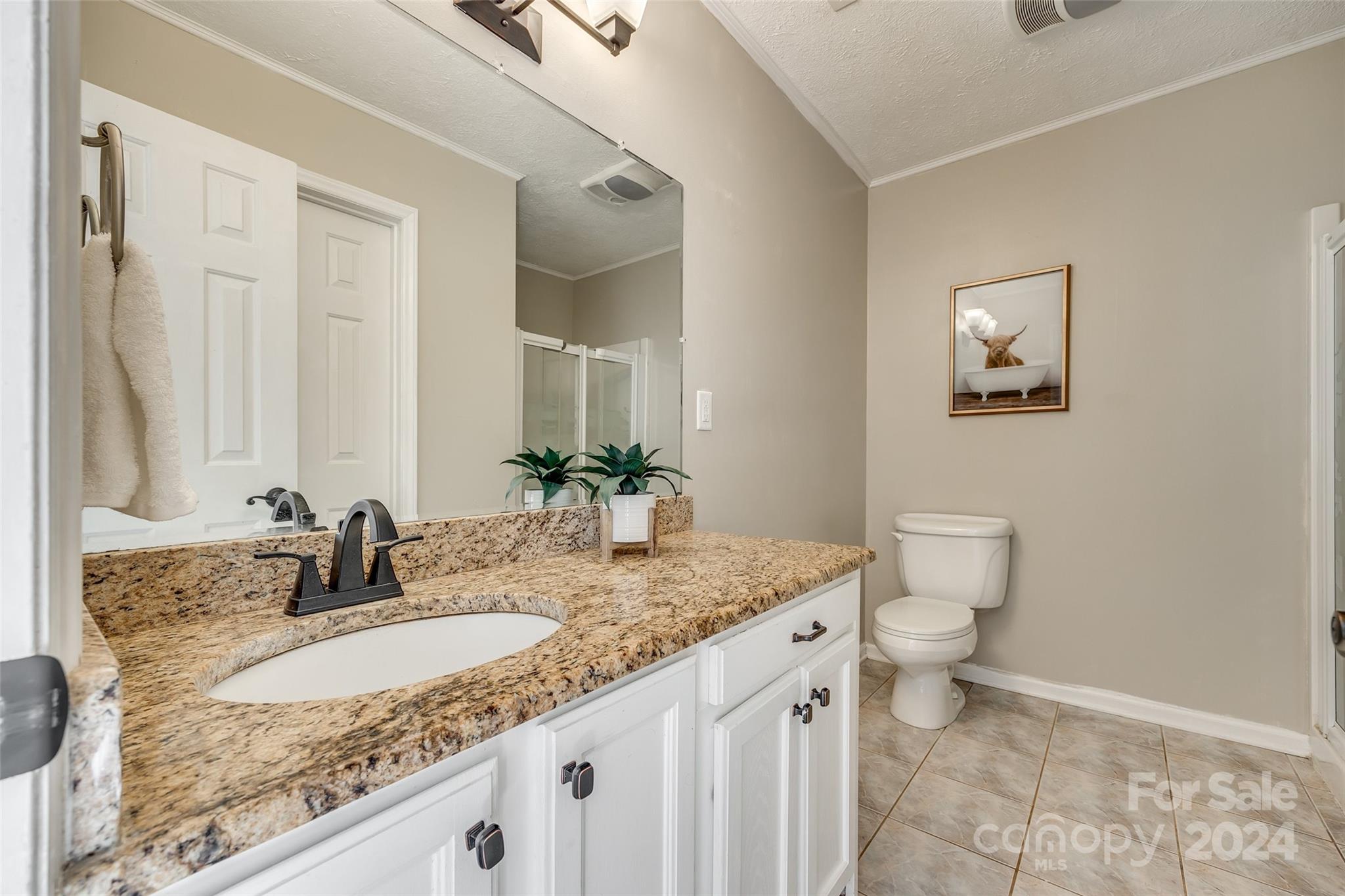 3110 Bush Road Clover, SC 29710 - Photo 20 of 48 a bathroom with a granite countertop sink and a mirror