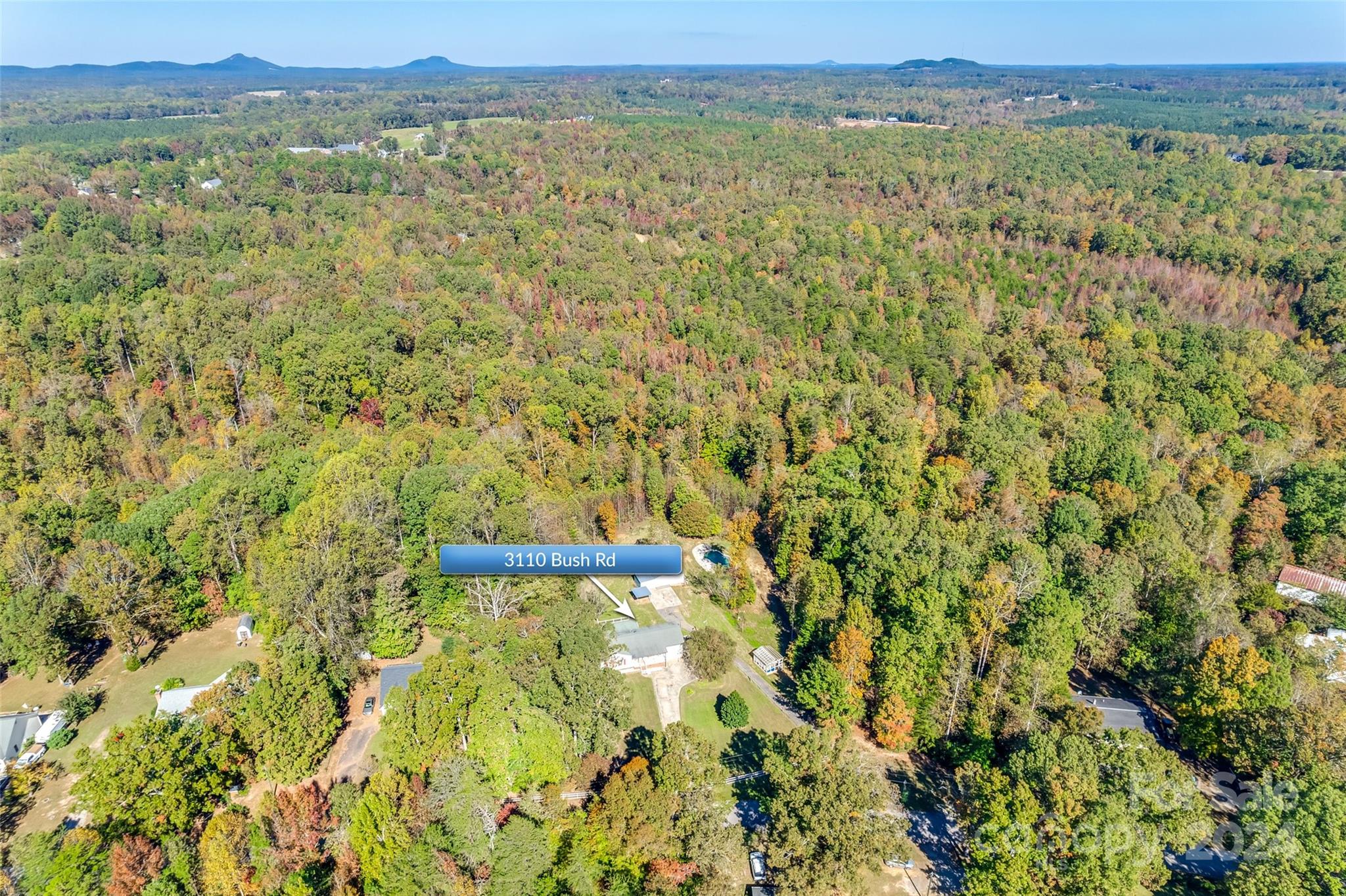 3110 Bush Road Clover, SC 29710 - Photo 47 of 48 a view of a forest with an outdoor space