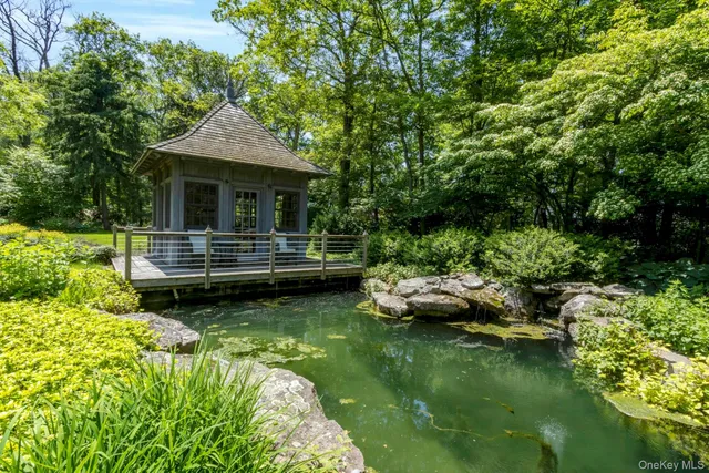 a close up of a tree in a garden