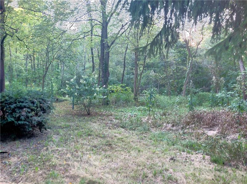 377 Wallace Run Road Beaver Falls, PA 15010 - Photo 4 of 15 Gallery Image 4