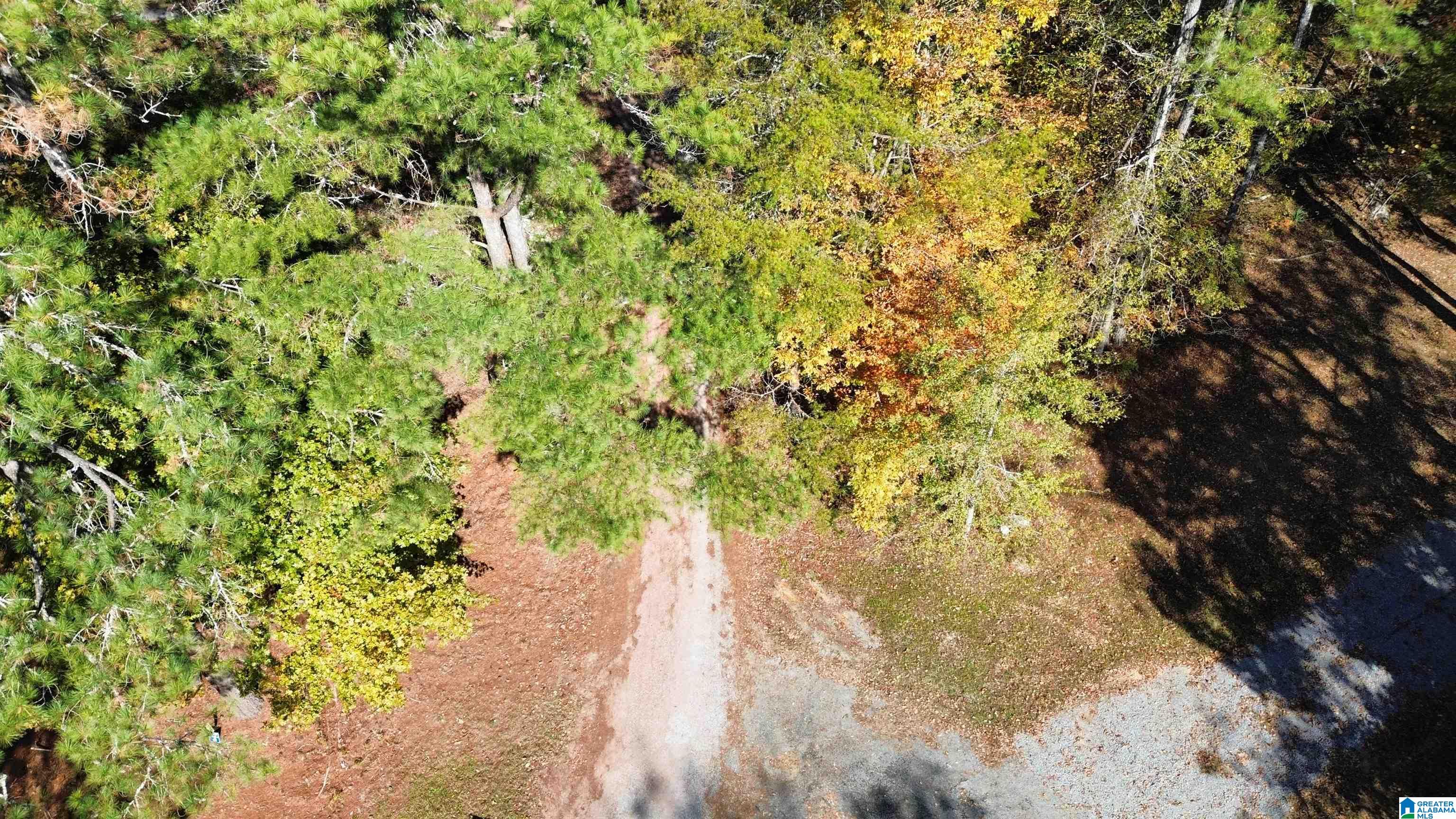 0 Mill Creek Road, Unit 20 Warrior, AL 35180 - Photo 10 of 17