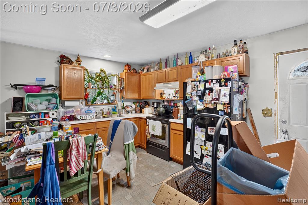 407 East Elizabeth Street Eaton Rapids, MI 48827 - Photo 8 of 29