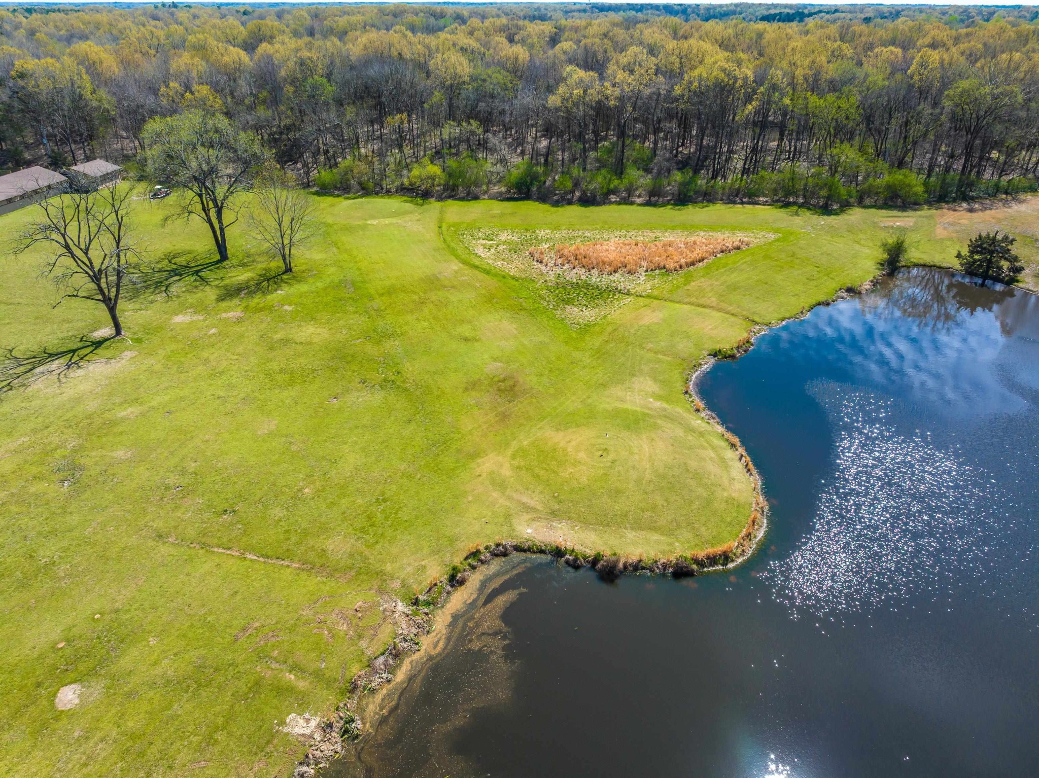0 Rocky Cannon Road Cordova, TN 38018 - Photo 6 of 20 a view of a swimming pool with a yard