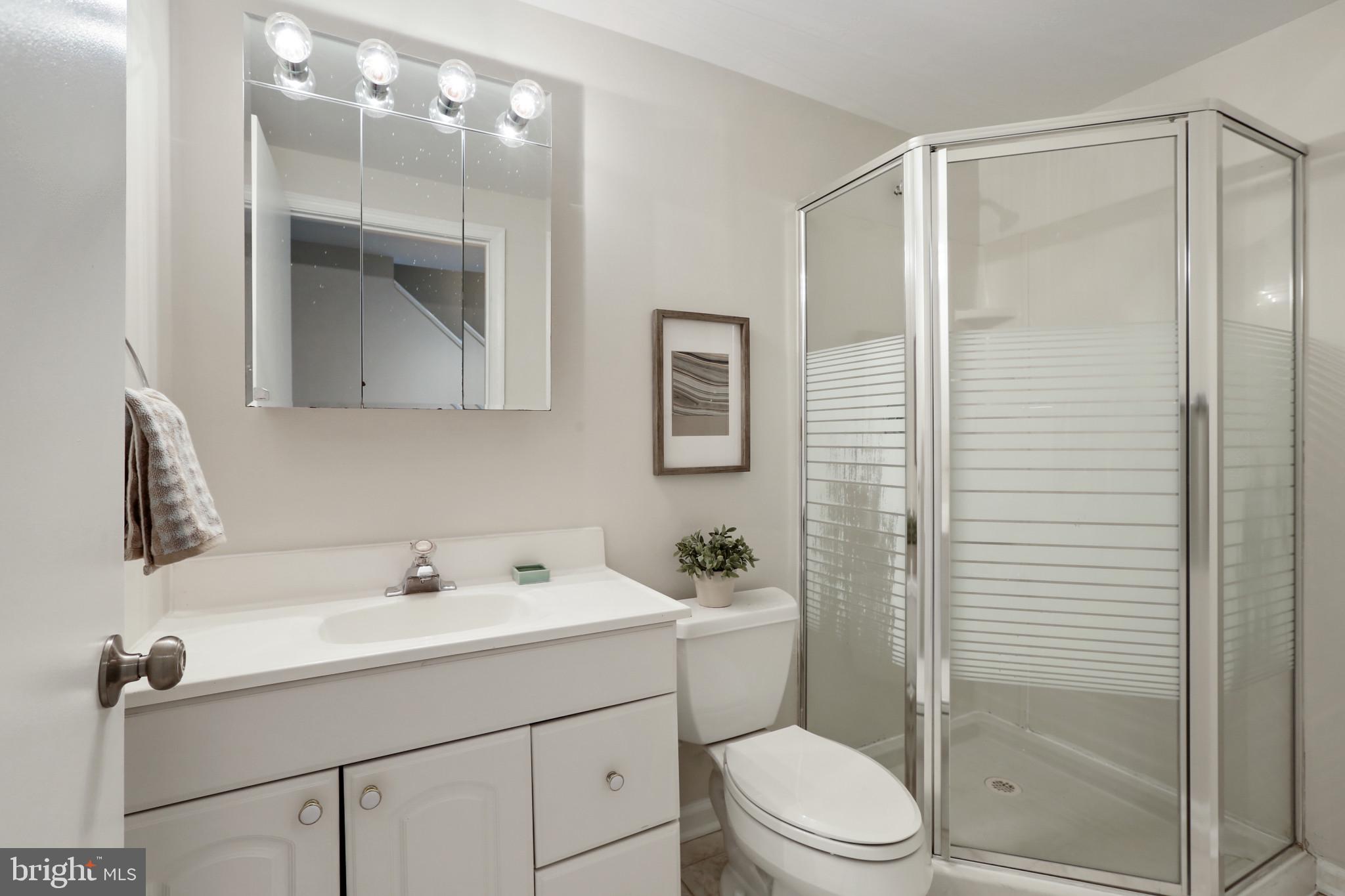 7207 Denberg Road Baltimore, MD 21209 - Photo 49 of 62 Basement full bath