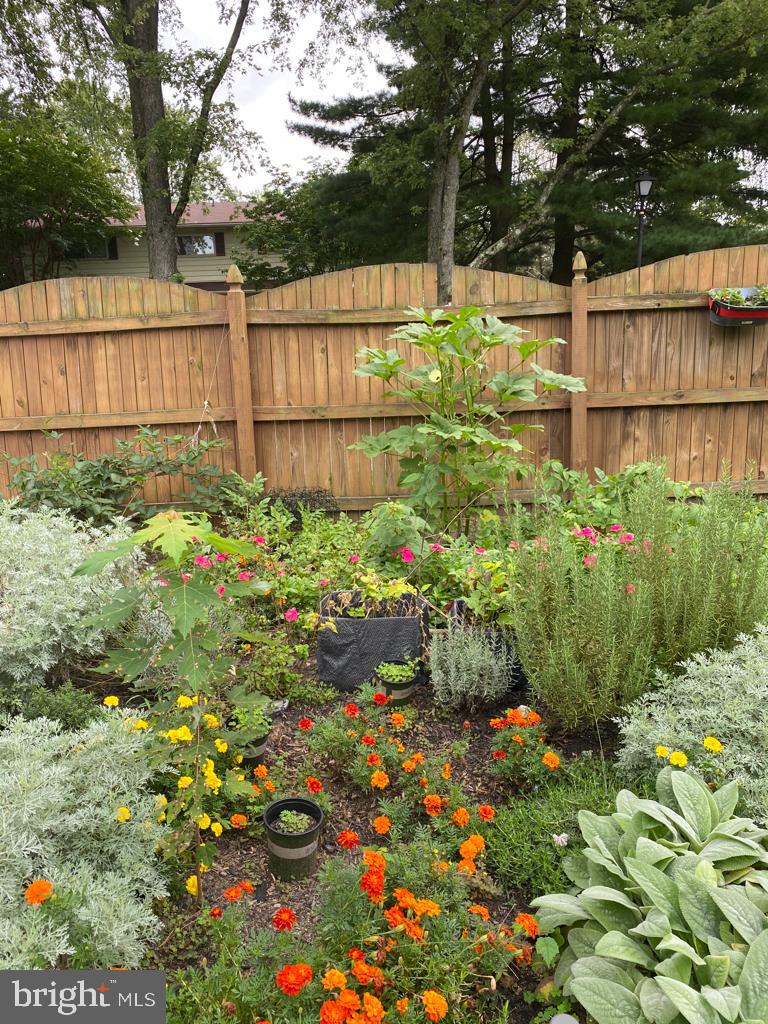 7207 Denberg Road Baltimore, MD 21209 - Photo 59 of 62 Gardens in summer