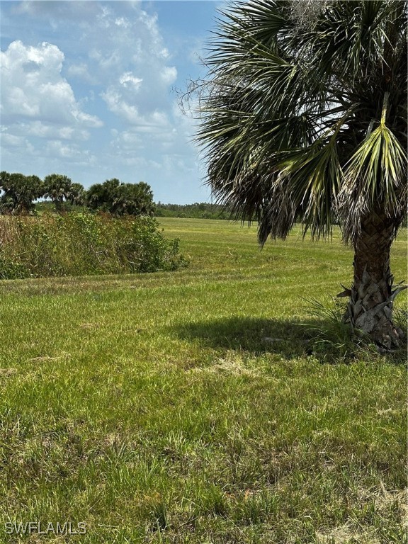 12048 Shad Way Placida, FL 33946 - Photo 6 of 6 a view of a lake from a yard