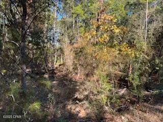 $225,000 | 13814 Highway 77, Southport, FL 32409