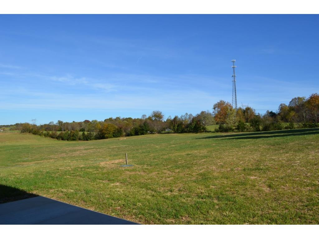 242 Old Stage Road Johnson City, TN 37615 - Photo 20 of 21 Back Yard View