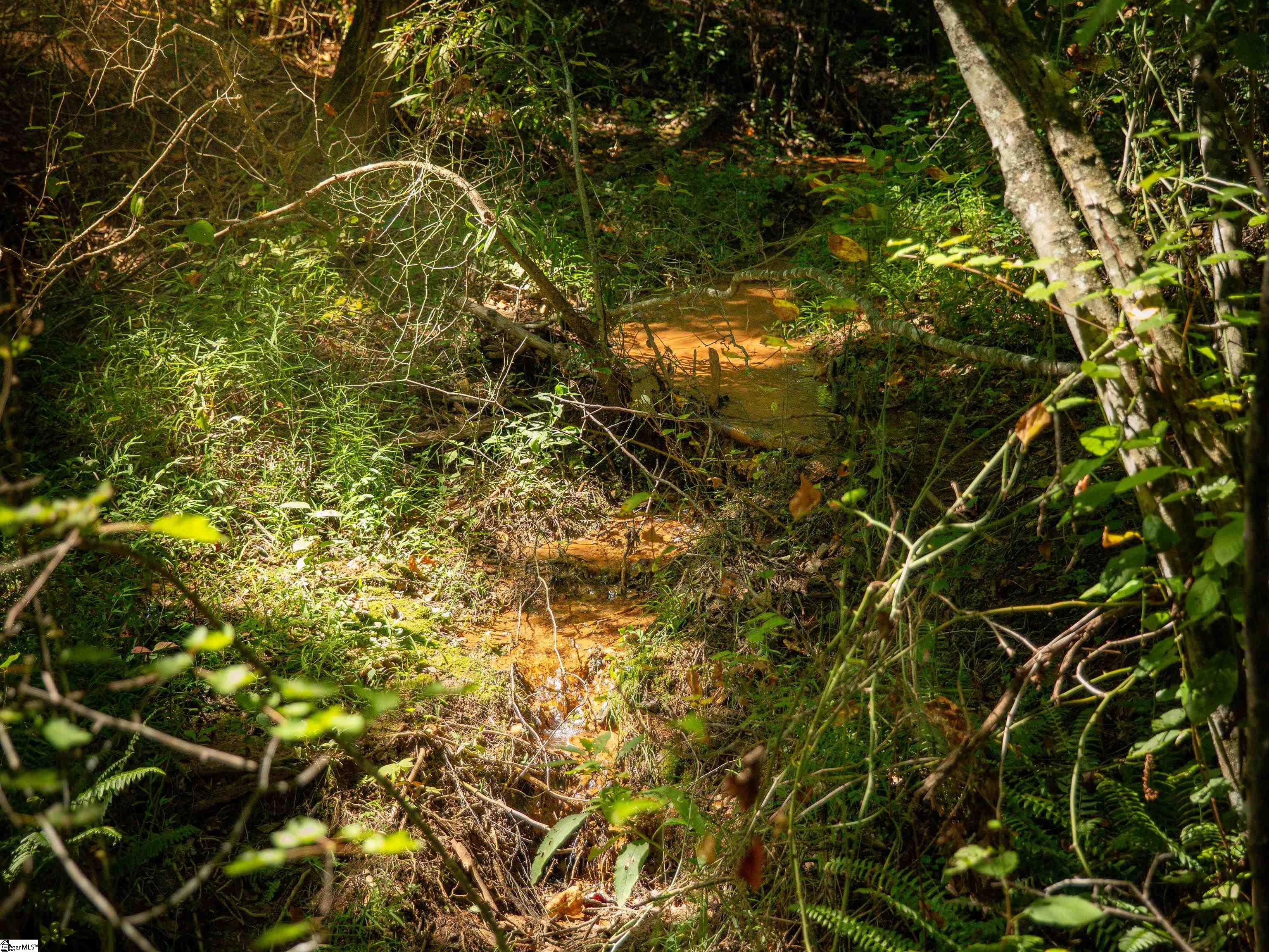 6 Hood Road, Unit LOT 6 Easley, SC 29640 - Photo 11 of 45