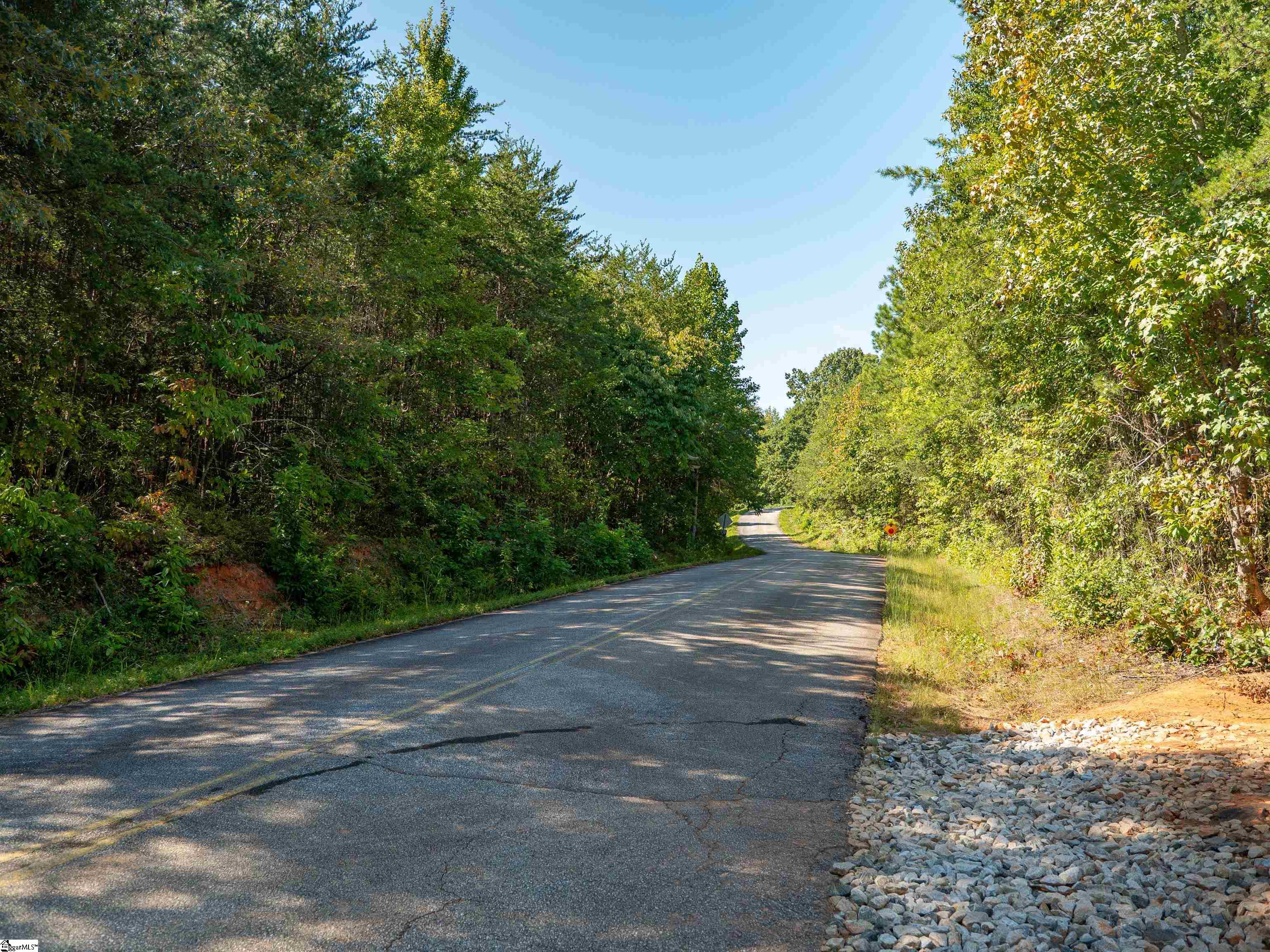 6 Hood Road, Unit LOT 6 Easley, SC 29640 - Photo 5 of 45
