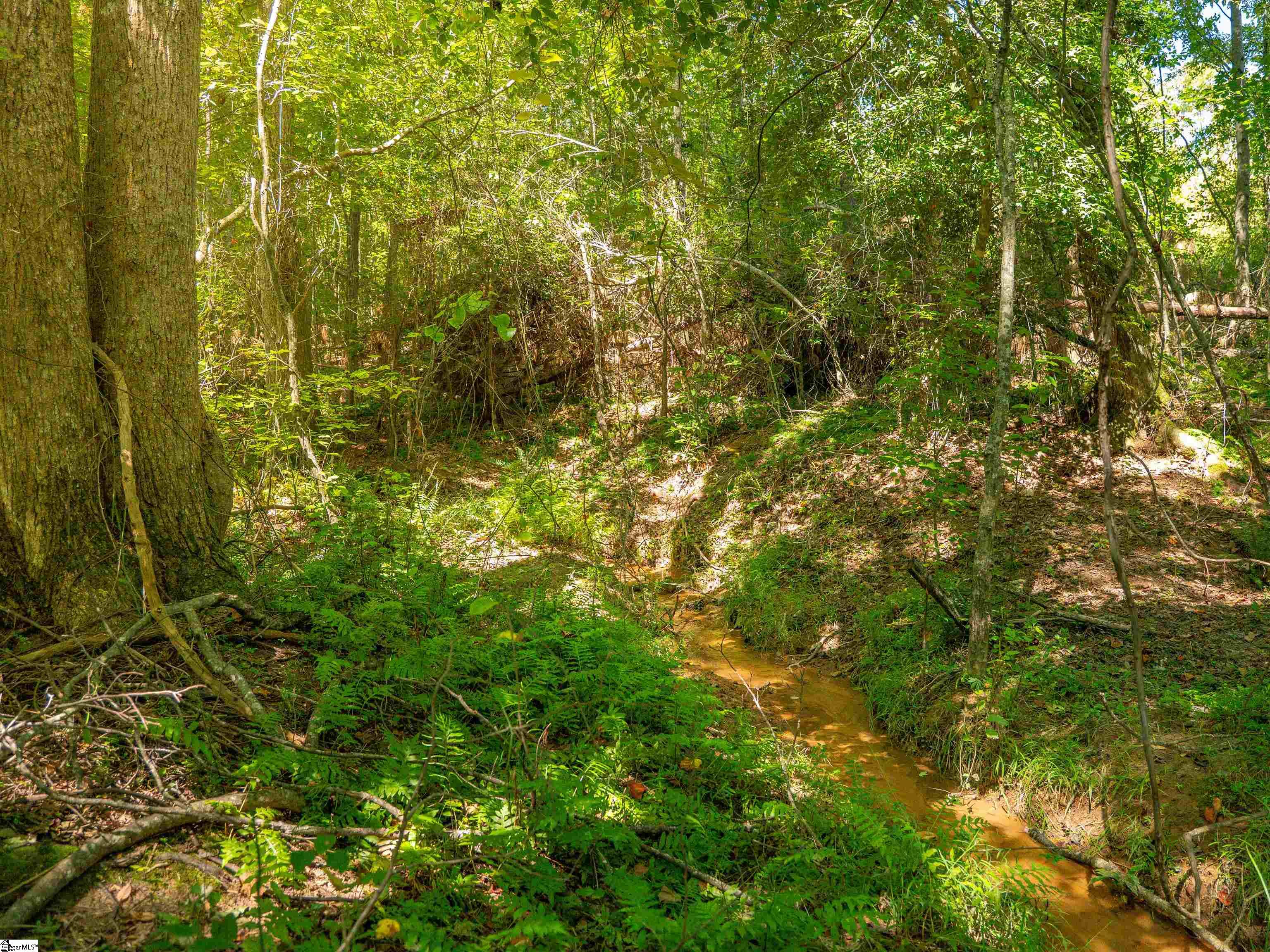 6 Hood Road, Unit LOT 6 Easley, SC 29640 - Photo 9 of 45