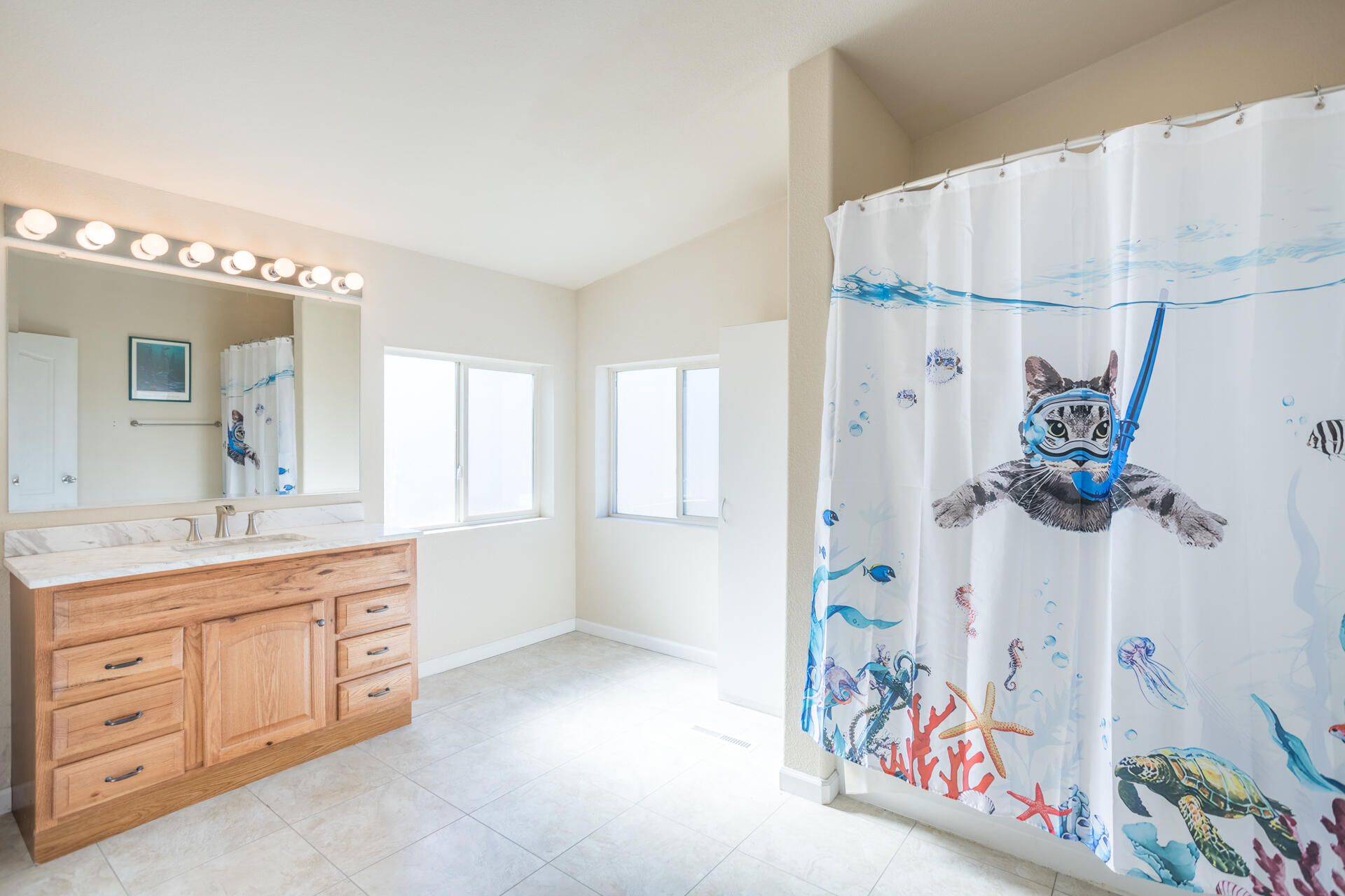 11541 Homestead Lane Redding, CA 96003 - Photo 18 of 51 a bathroom with a sink a vanity and a mirror