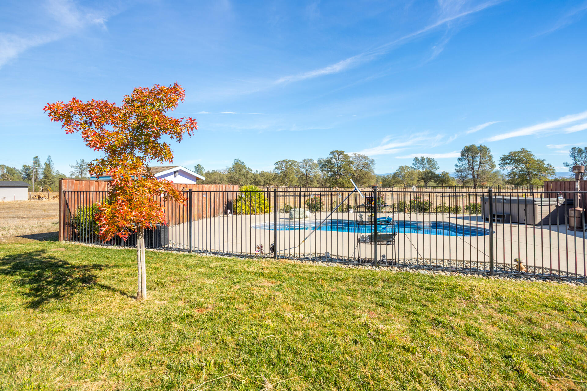 11541 Homestead Lane Redding, CA 96003 - Photo 40 of 51 a view of a garden with a small yard