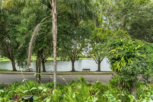 a view of a back yard