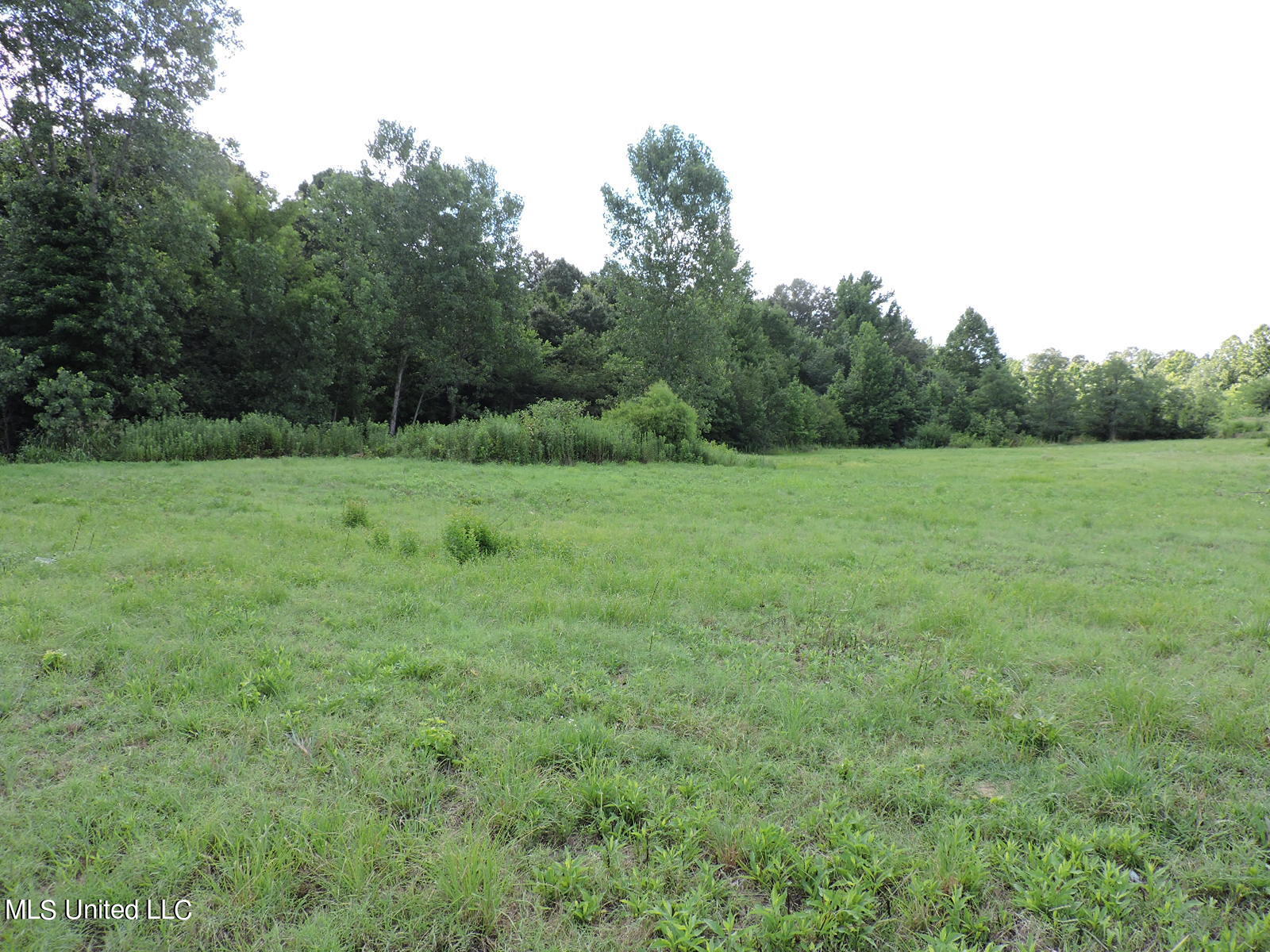 5465 Goodman Road Olive Branch, MS 38654 - Photo 2 of 3 DSCN4452