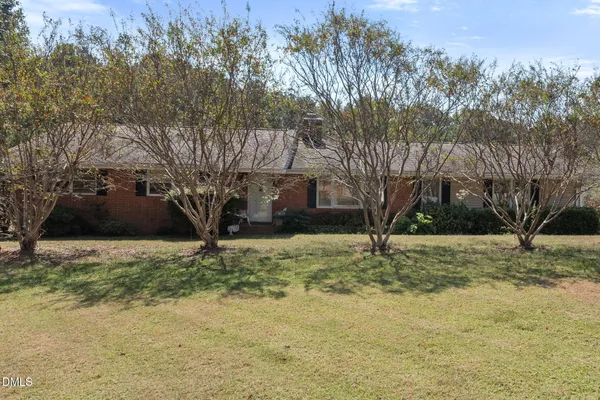 a large tree in the middle of a yard