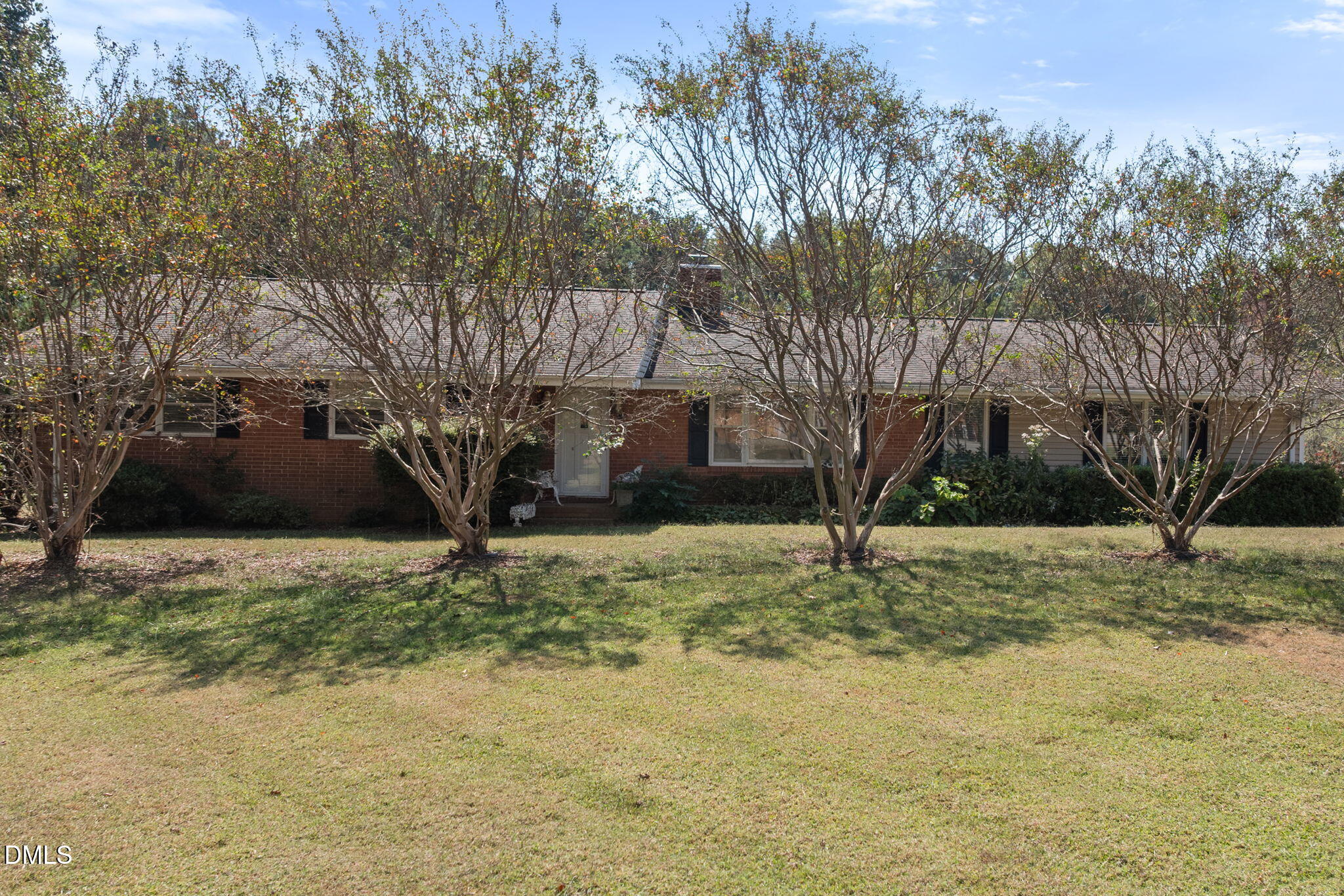 a large tree in the middle of a yard