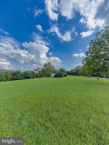 a view of a yard with a big yard