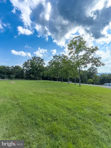 a view of yard with green space