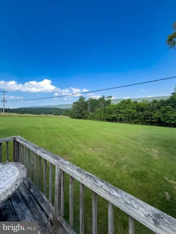 a view of a field of grass and trees