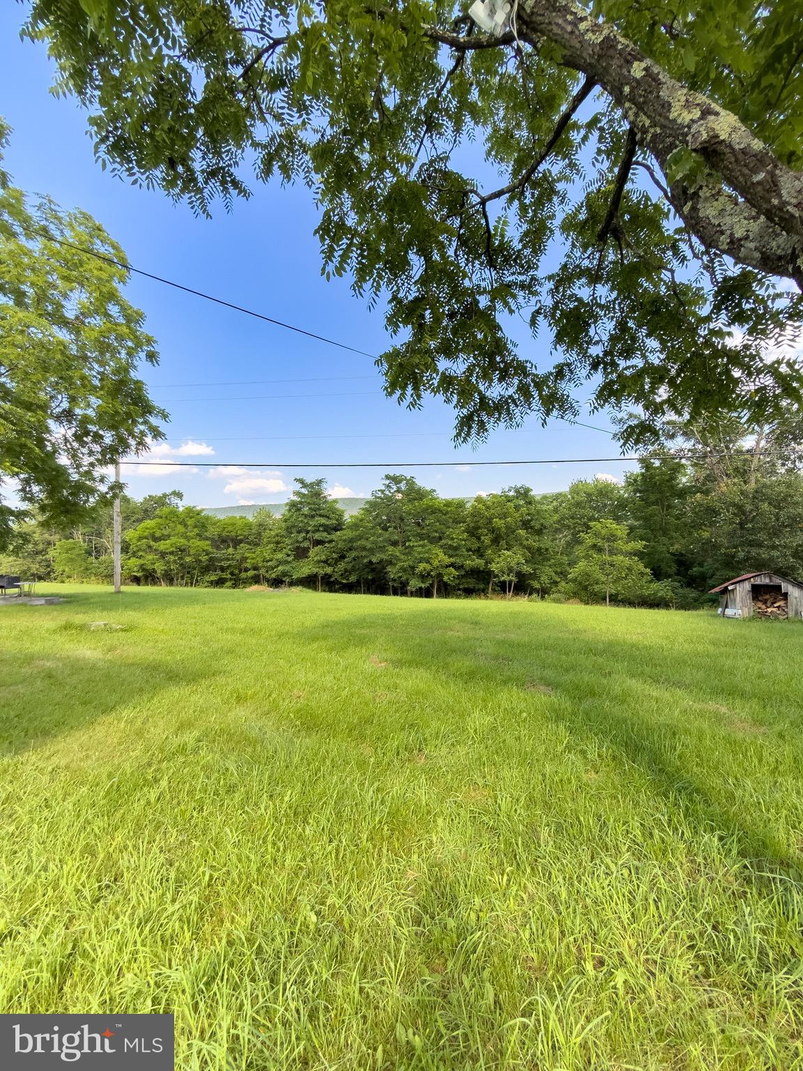 11101 Winchester Grade Road Berkeley Springs, WV 25411 - Photo 16 of 44 a view of yard with green space