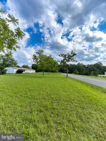 a view of a yard with a house in the background