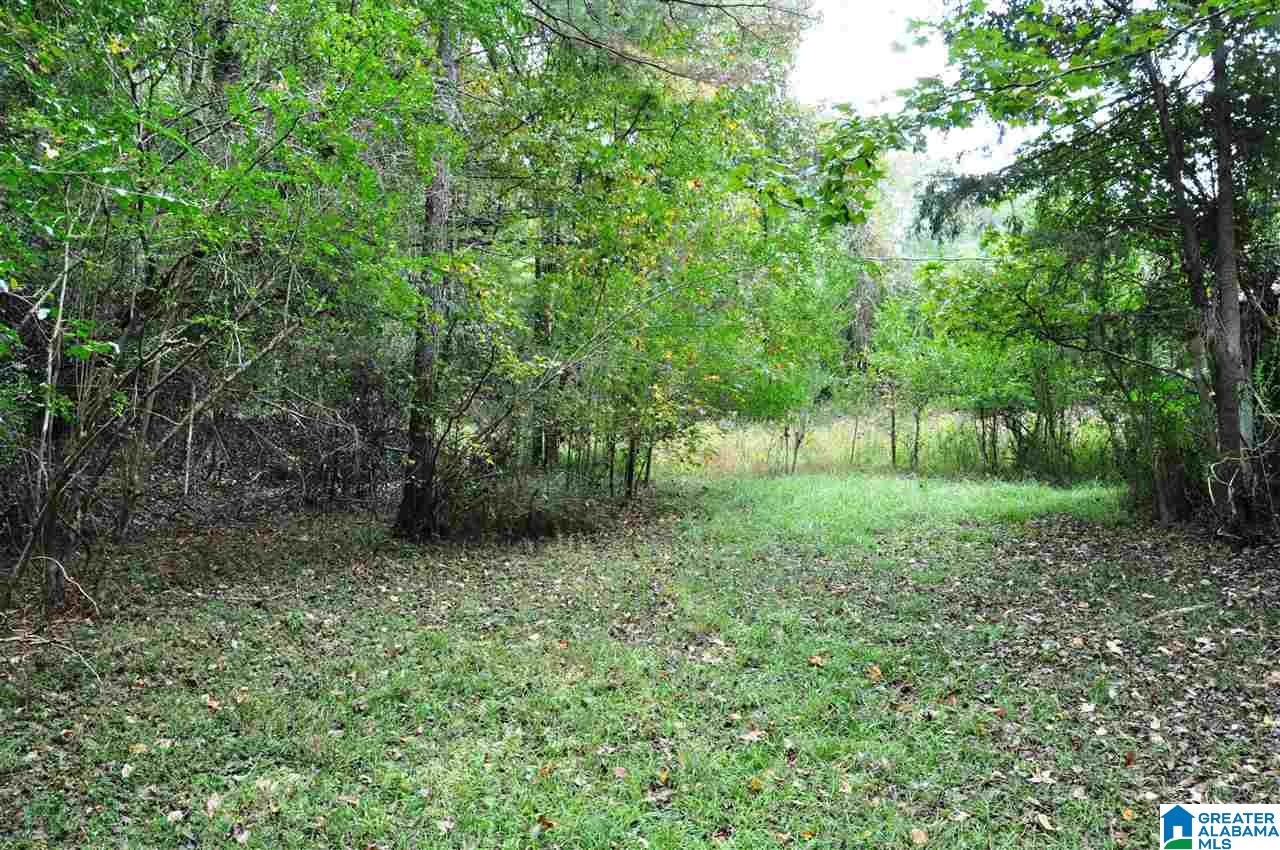 6343 Cahaba Valley Road Birmingham, AL 35242 - Photo 3 of 6
