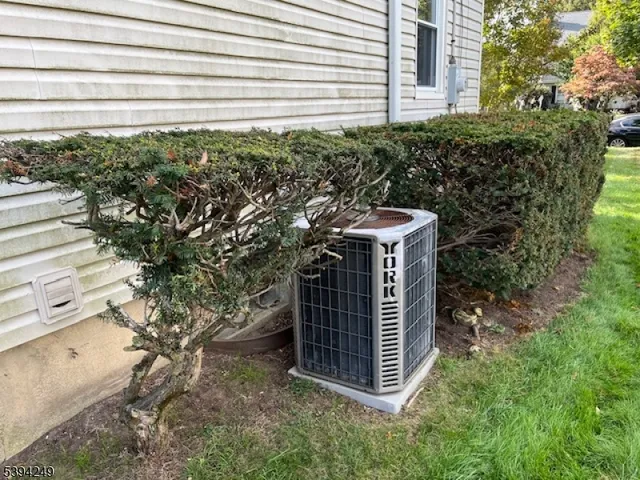 a view of a house with a tree in a yard
