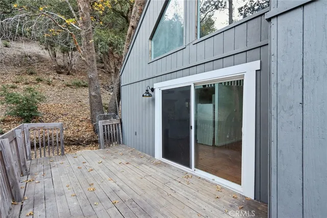 a view of a dry yard with trees