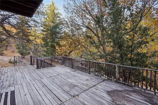 a view of a yard with plants and large trees