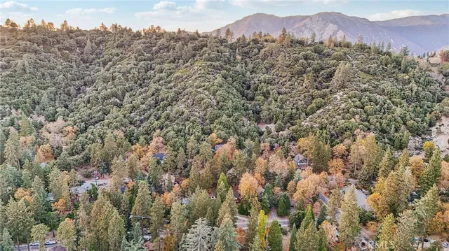 $299,900 | 5866 Robin Oak Drive, Angelus Oaks, CA 92305