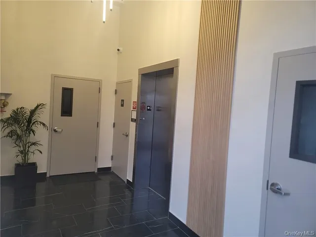 a view of a hallway with wooden floor and a potted plant
