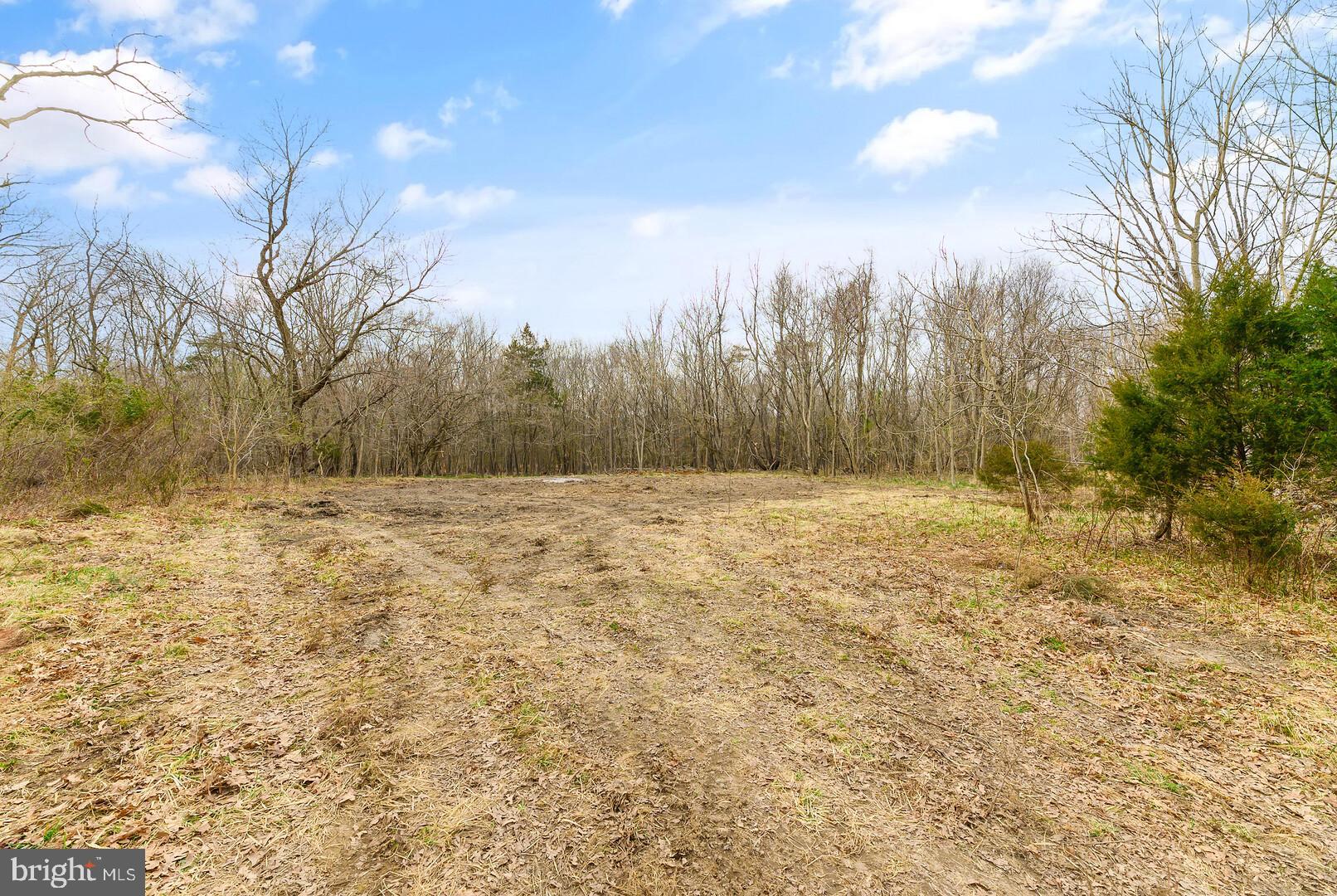 3018 Tenerife Road Catlett, VA 20119 - Photo 2 of 14 Potential homesite already cleared.