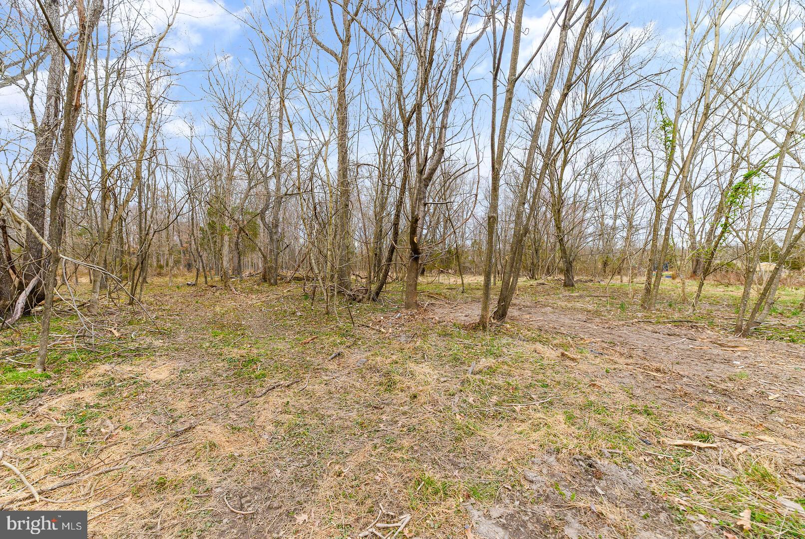 3018 Tenerife Road Catlett, VA 20119 - Photo 7 of 14 Gallery Image 7